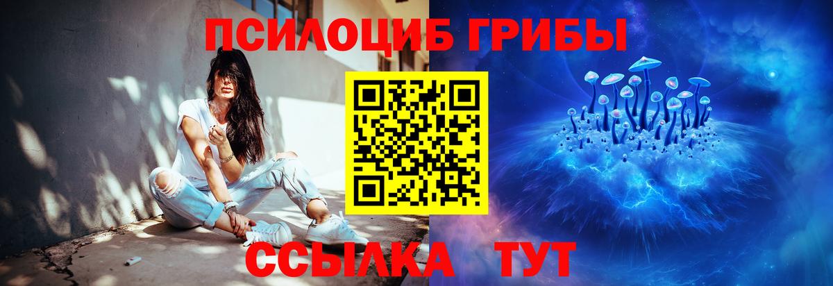 где найти   Галлюциногенные грибы Magic Shrooms  Вход с VPN  Златоуст  Псилоцибиновые грибы ЛСД 